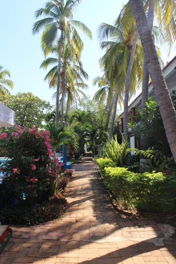 Hotel Albatros Puerto Escondido  Εξωτερικό φωτογραφία